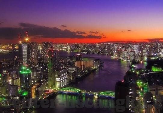 芒果大象传媒一二三-芒果大象传媒，数字时代文化传播的新篇章
